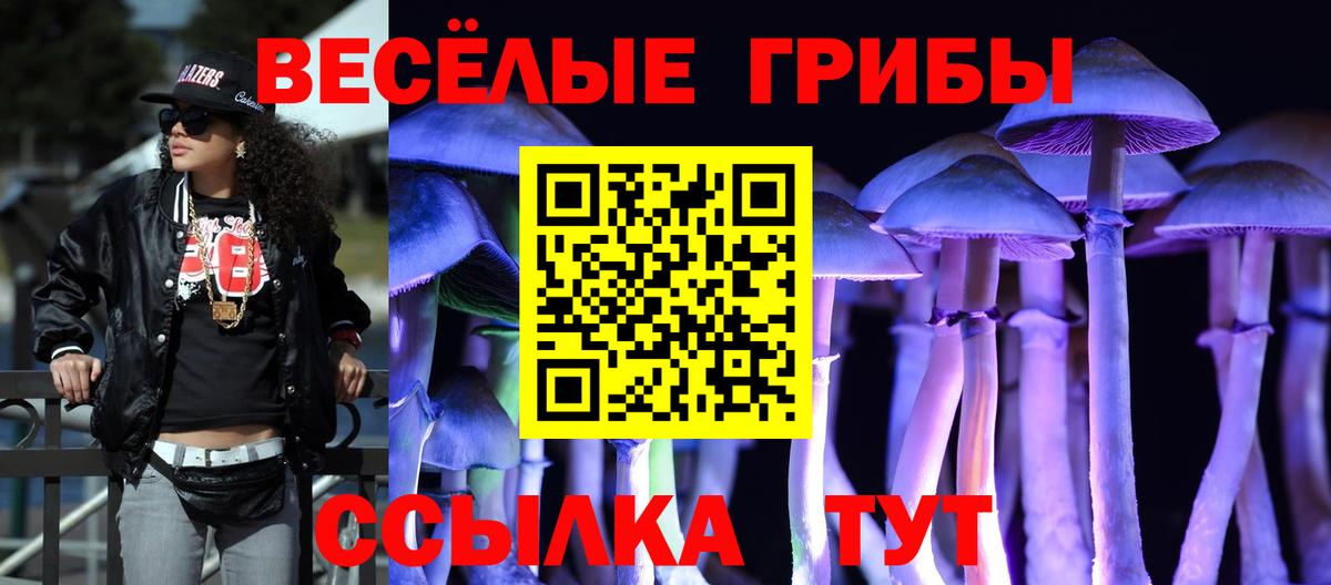 Магнитогорск  дарнет шоп  Вход с VPN  Псилоцибиновые грибы прущие грибы 